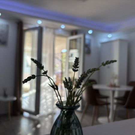 Luxury Apartman Nr Sibenik Exterior photo
